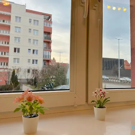 Stary Honey Апартаменты Гданьск